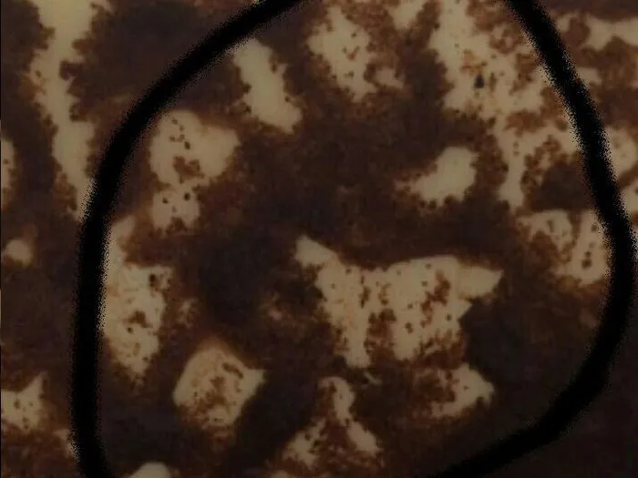 Запись на прием к гадалке в Волхове